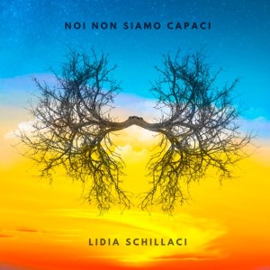 NOI-NON-SIAMO-CAPACI